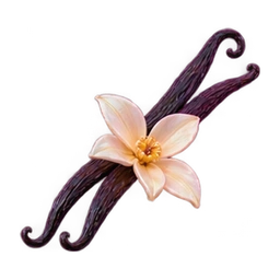 Vanilla pod